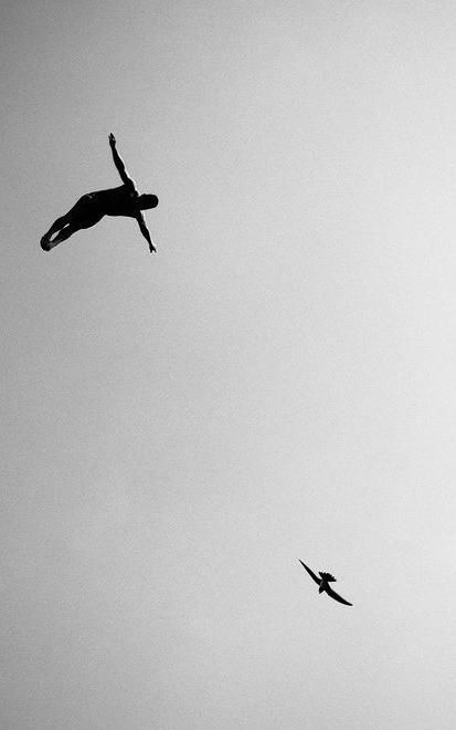 two birds are flying in the sky near one another