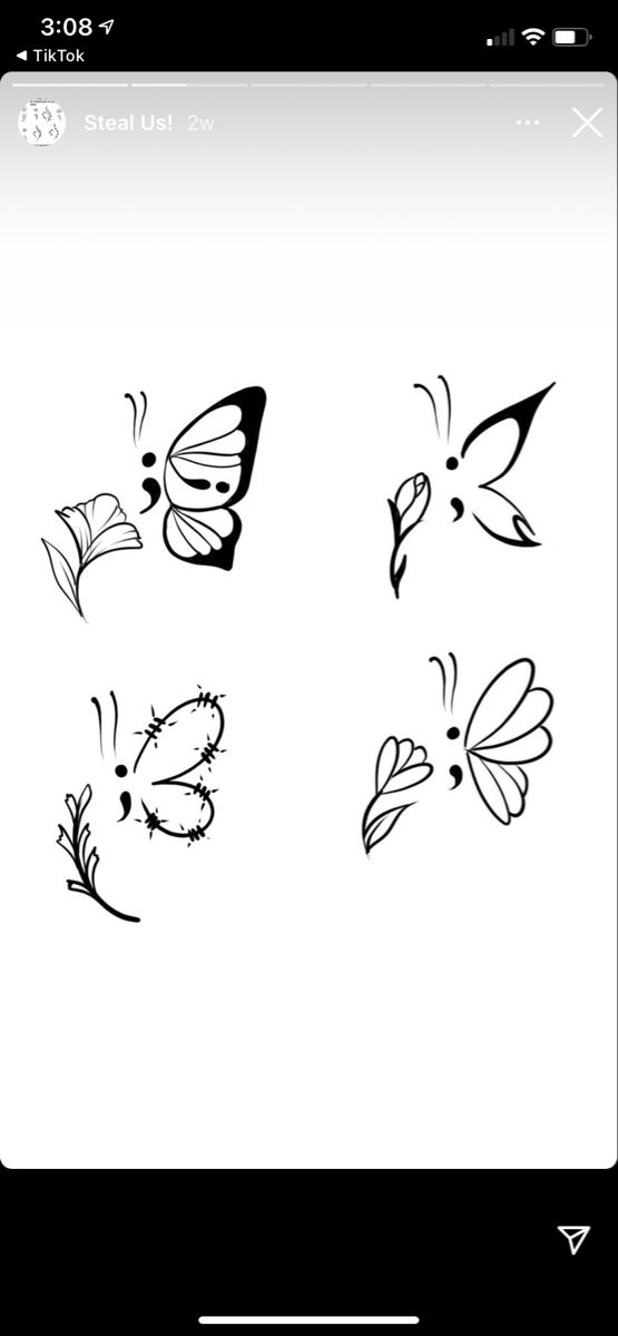 an app that shows how to draw butterflies on the screen, with different shapes and sizes