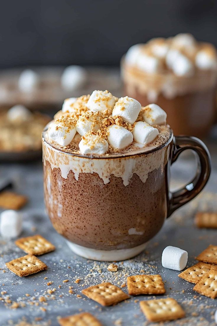 hot chocolate with marshmallows and graham crackers in a mug on a table