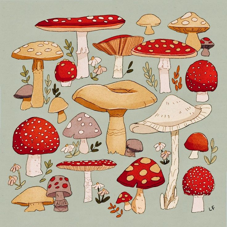 a group of mushrooms on a green background