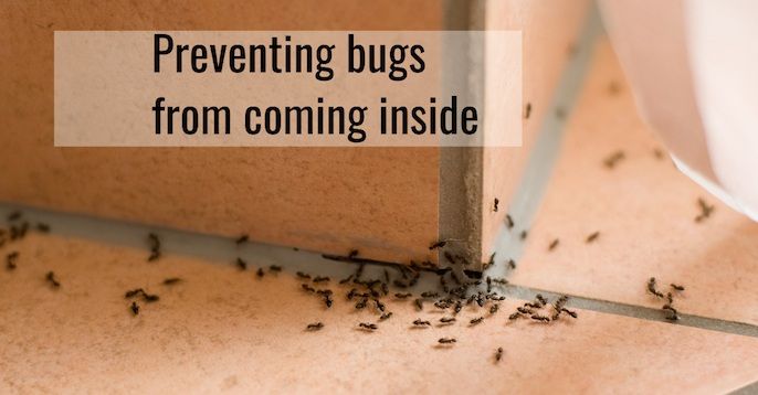 a box filled with bugs sitting on top of a floor