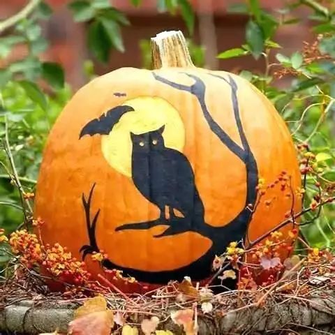 a pumpkin with an owl painted on it