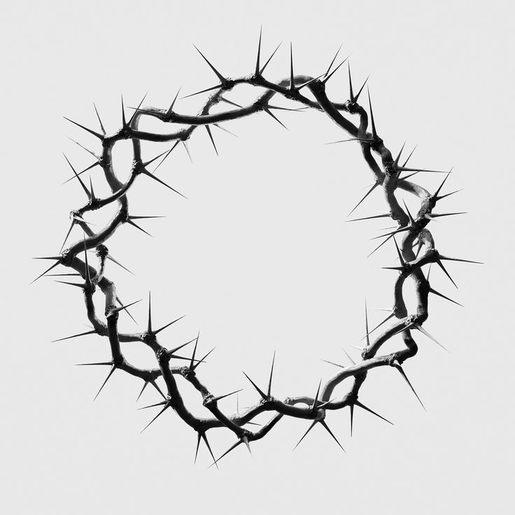 black and white photograph of a crown of thorns against a gray background with space in the center