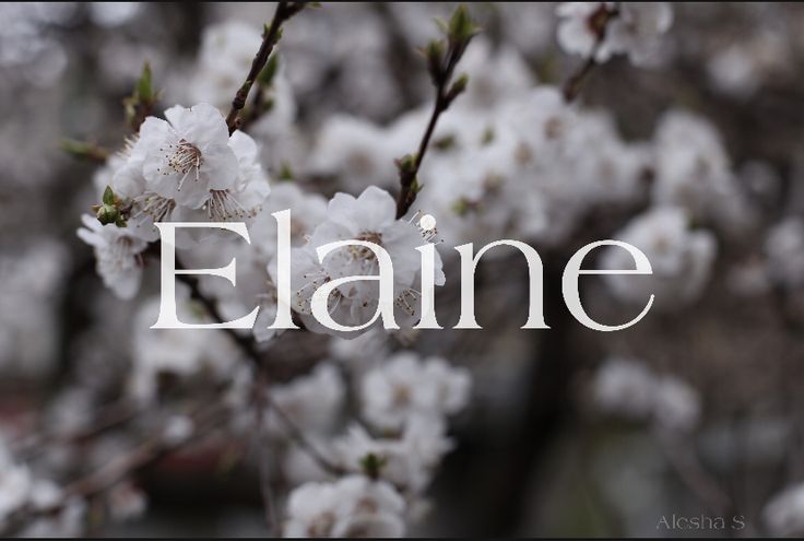 the word elane is surrounded by white flowers