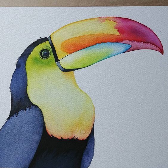 a watercolor painting of a toucan bird with a colorful beak on it's head