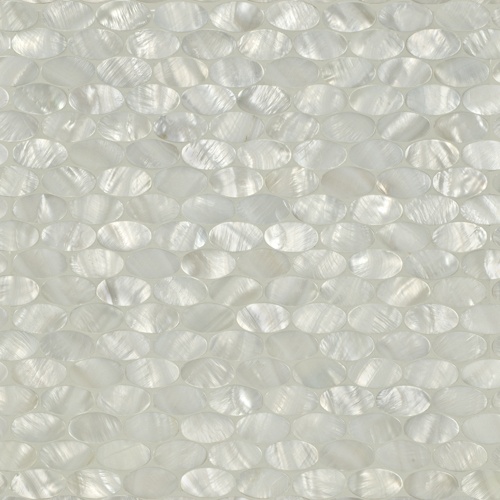 an image of white shells in the water textured with light reflection on the surface