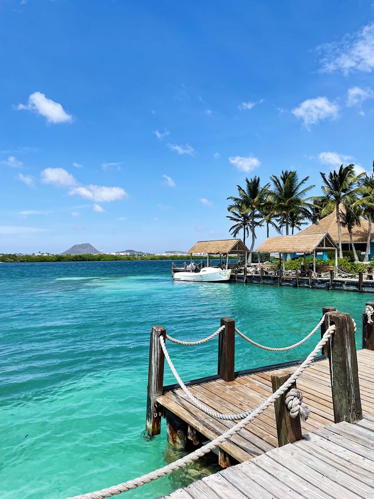 a dock that has some boats in the water and palm trees around it on a sunny day