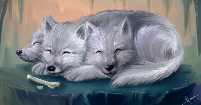 two white dogs sleeping next to each other