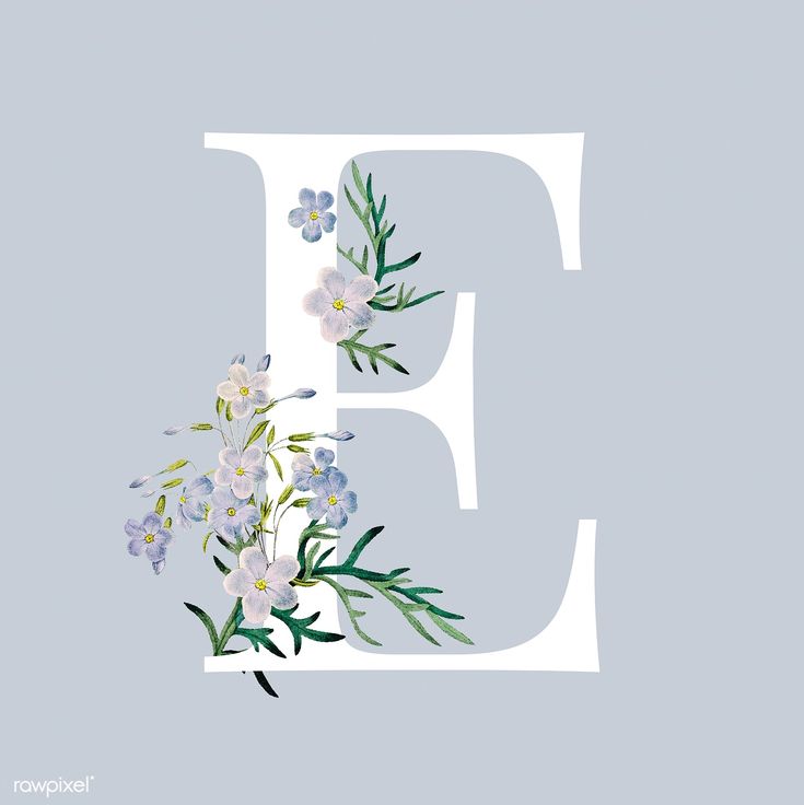 the letter e is made up of flowers and leaves on a light blue background with white letters