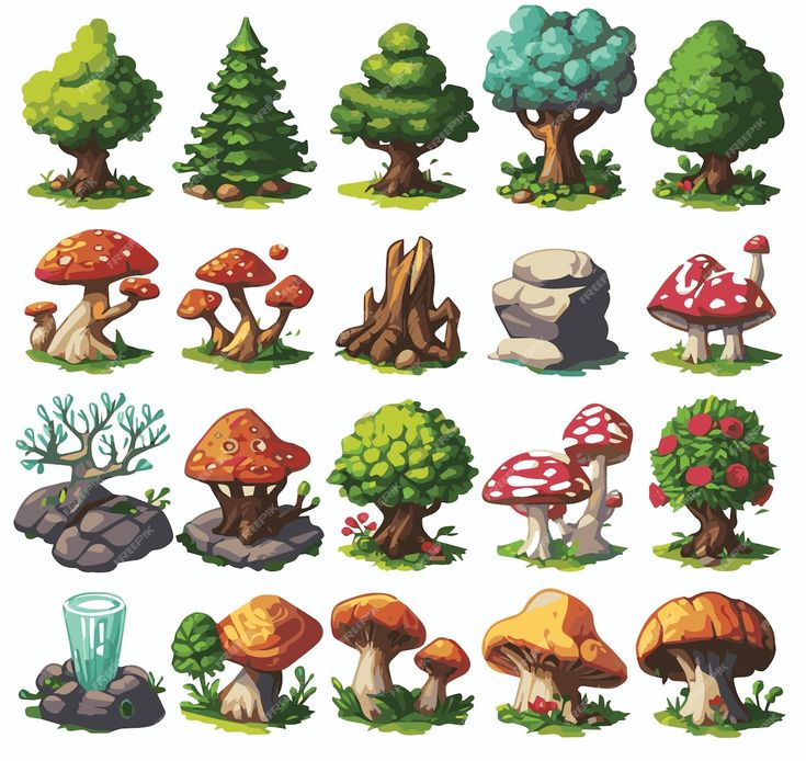 different types of mushrooms and trees