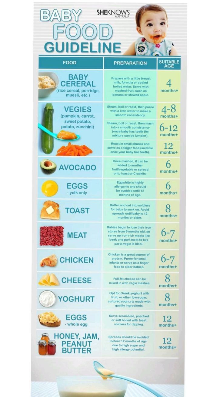 the baby food guide is displayed on a white table with blue and green stripes around it