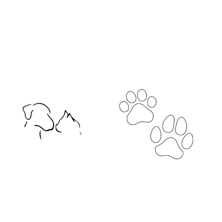 an animal's paw prints are shown in black and white on a plain background