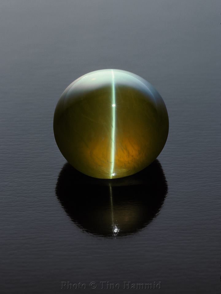 cats eye chrysoberyl Cats Eye Gem, Pretty Rocks, Cat S, Beautiful Rocks, Cats Eye, Mineral Stone, Minerals And Gemstones, Rocks And Gems, Energy Crystals