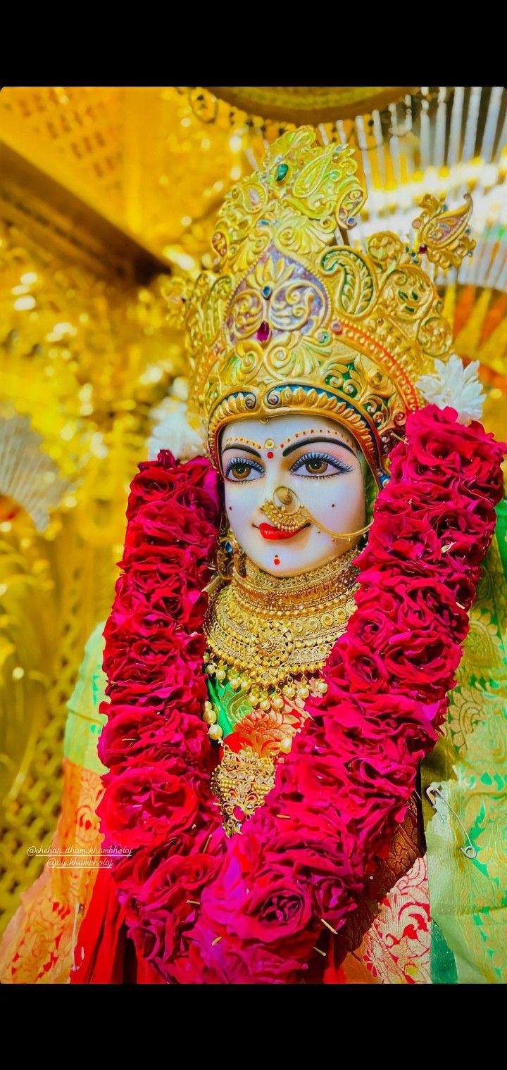 a close up of a person wearing a costume and headdress with flowers on it