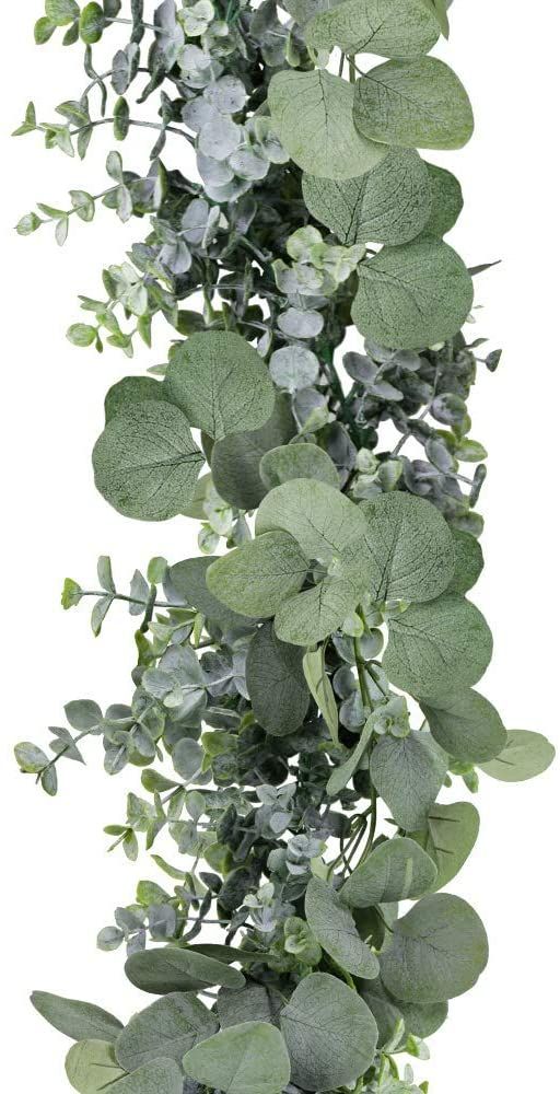 an arrangement of green leaves and branches on a white background