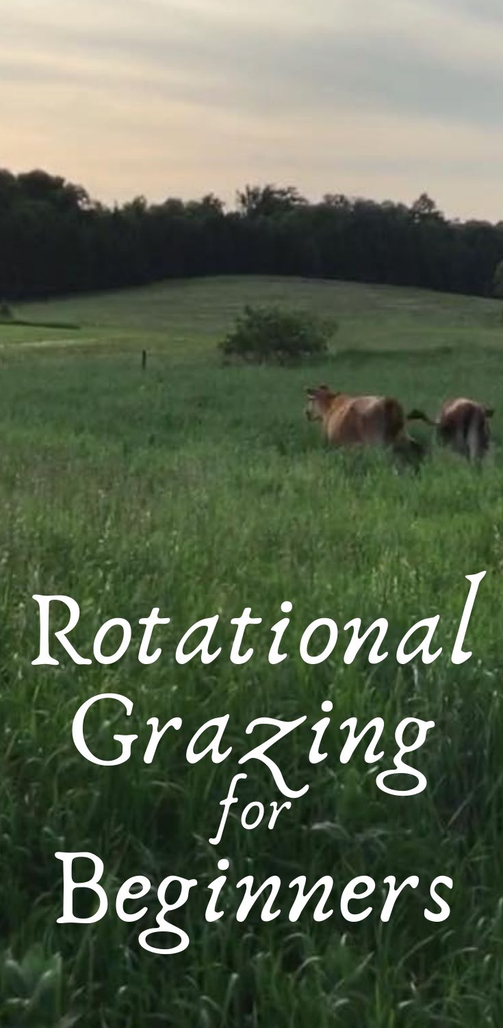 two horses grazing in a field with the words rottational grating for beginners