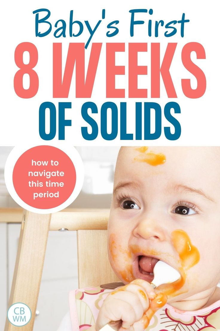 the baby's first 8 weeks of solids how to navigate this time period