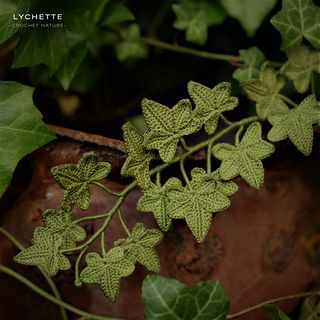 a plant with green leaves growing out of it