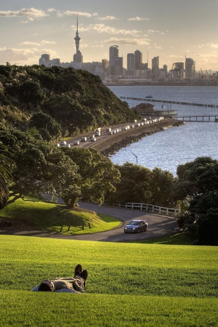 a person laying on the grass in front of a lake with a city in the background