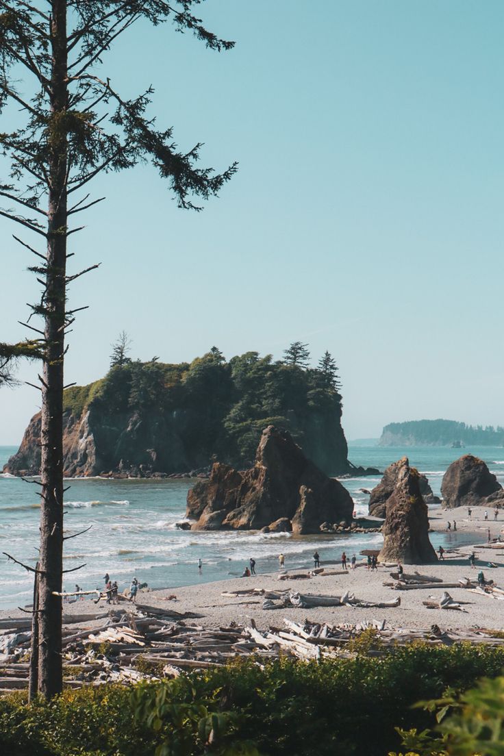 the beach is full of people and trees near the water with rocks in the background