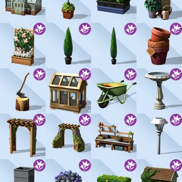 an image of various types of plants and things to plant in the yard or garden