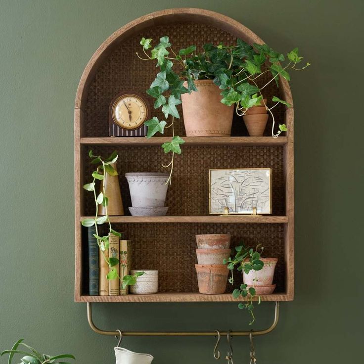 a shelf with plants and other items on it