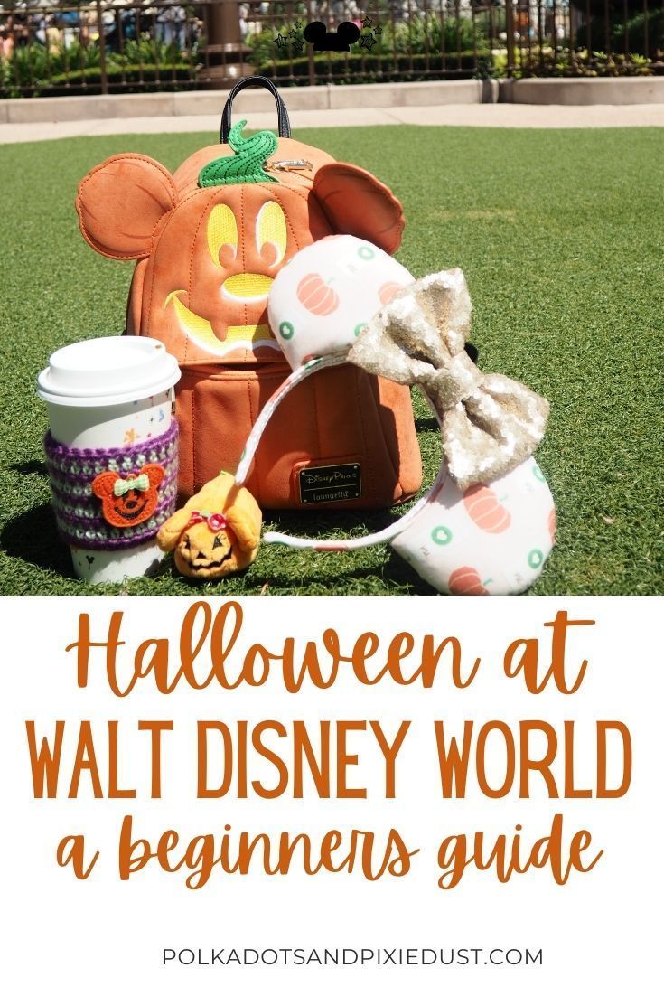 the disneyland world pumpkin patch with text overlay that reads halloween at walt world a beginner's guide