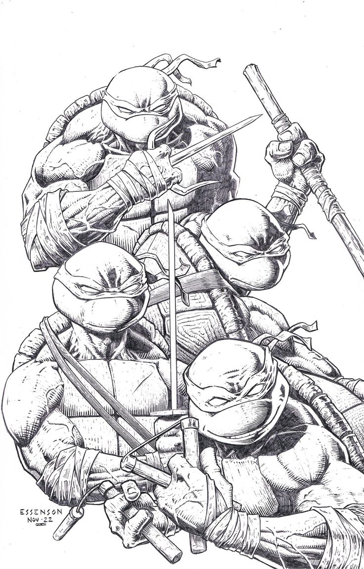 Turtles Sketch, Colorable Drawings, Ninja Turtles Tattoos, Turtle Ninja Drawing, Tmnt Cartoon, Ninja Turtle Art, Ninja Turtles Sketch, Ninja Turtles Drawing, Tmnt Drawing Reference