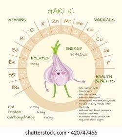 Find CBD and Endocannabinoid System vertical infographic illustration about cannabis as herbal alternative medicine and chemical therapy, healthcare and medical science vector. Stock Images in HD and millions of other royalty-free stock photos, illustrations, and vectors in the Shutterstock collection. Garlic Supplement Benefits, Garlic Vector, Garlic Nutrition Facts, Garlic Pills, Health Benefits Of Garlic, Benefits Of Garlic, Garlic Supplements, Garlic Health Benefits, Garlic Benefits