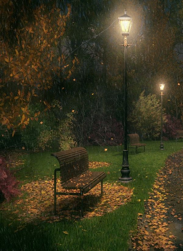 a park bench sitting under a street light on a rainy day in the fall season