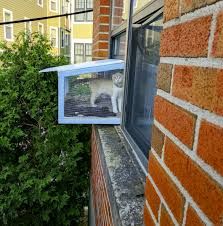 a window with a cat in it on the side of a brick building next to a tree