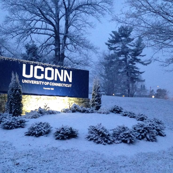 the uconn campus sign is covered in snow at night with trees and bushes