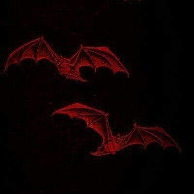 two red bats flying in the dark