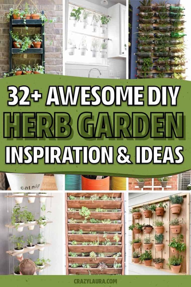 some plants are growing in pots and hanging on the wall with text overlay that reads 32 awesome diy herb garden inspirations & ideas