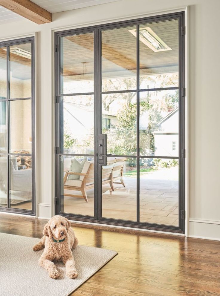 a dog sitting on the floor in front of sliding glass doors that lead to an outdoor patio