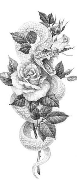 a pencil drawing of a snake and roses