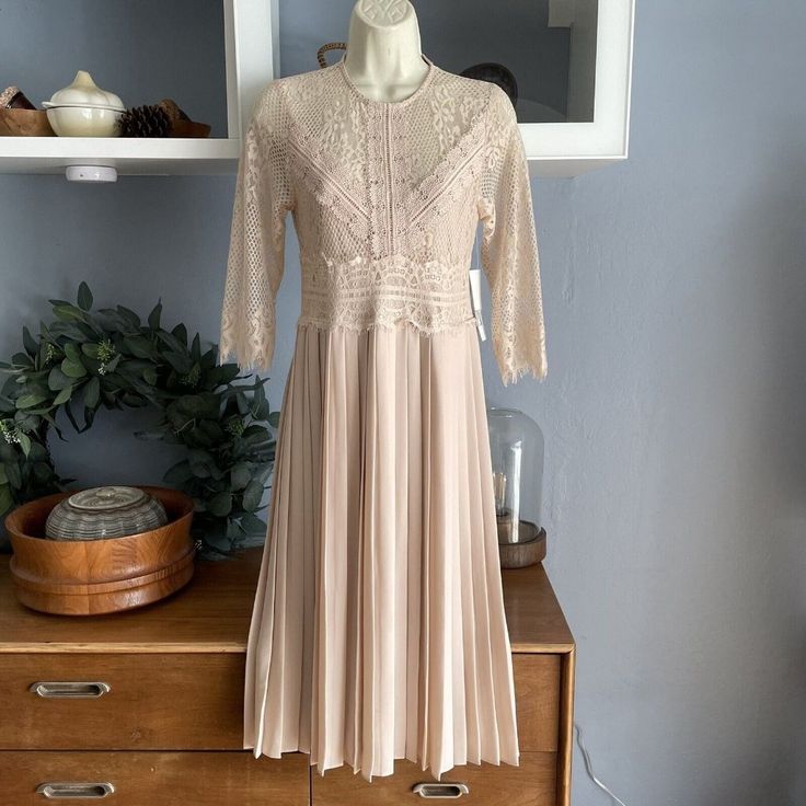 New With Tags Zara Lace Pleated Midi Dress Beige/Pink Size: Xs Chest: 31.5” Waist: 28” Length: 43” Back Zipper Lined 3/4 Sleeves Polyester Pleated Lace Midi Dresses, Lace Pleated Midi Dresses, Pink A-line Lace Dress For Spring, Spring Pleated Sheath Midi Dress, Fitted Pleated Lace Dress, Fitted Lace Pleated Dress, Spring Fitted Lace Midi Dress, Pink Pleated Midi Length Dress, Beige Pleated Spring Dress