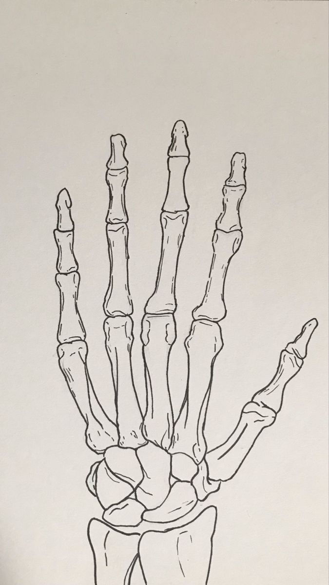 a black and white drawing of a hand with bones on it's left side