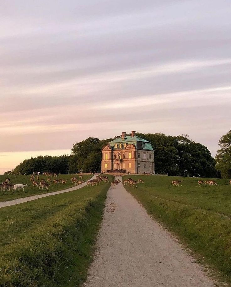 a large house sitting on top of a lush green field next to a dirt road