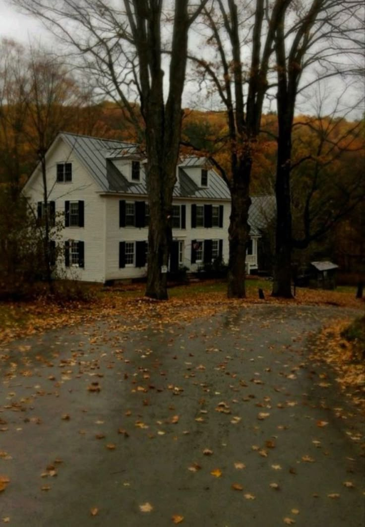 a large white house surrounded by trees and leaves