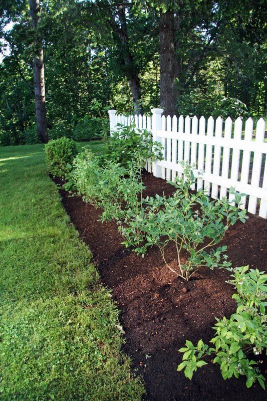 a white picket fence in the middle of a garden with green plants and mulch