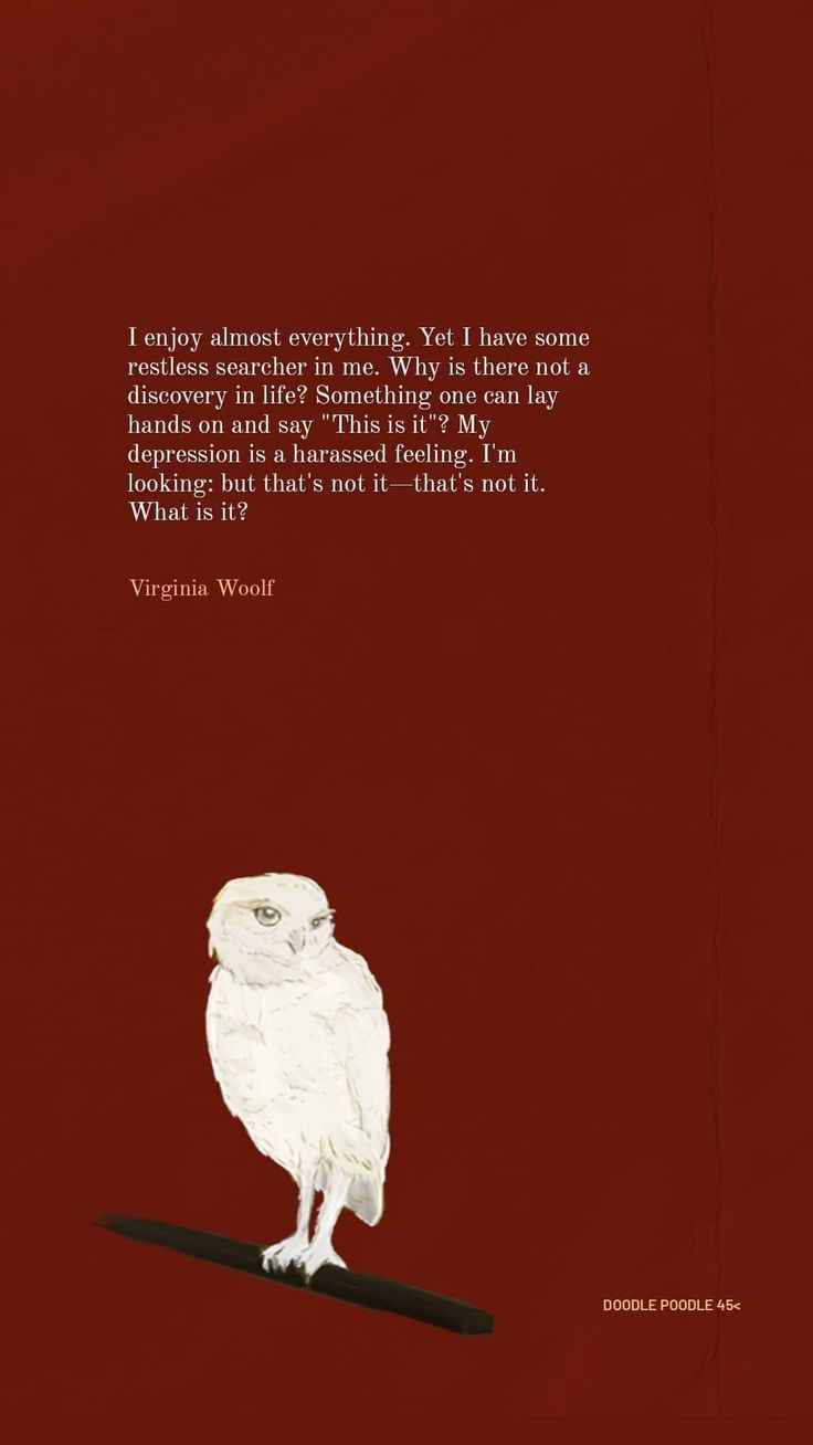 an owl sitting on top of a piece of paper next to a quote from virginia west