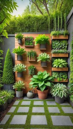 an outdoor garden with plants on the wall