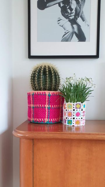 a wooden dresser topped with a potted cactus next to a framed photograph