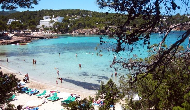 many people are on the beach and in the water near some trees, sand and blue water