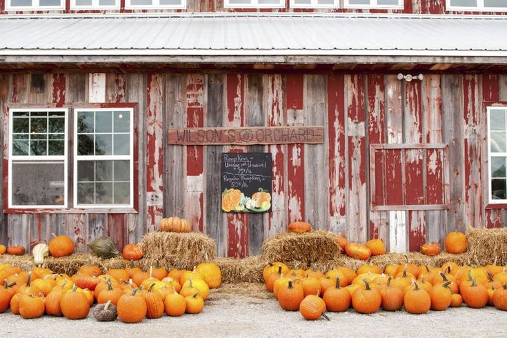 pumpkins and hay bales in front of a barn