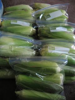 several bags of green vegetables sitting on the floor