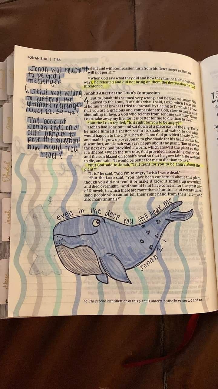 an open bible with a drawing of a whale