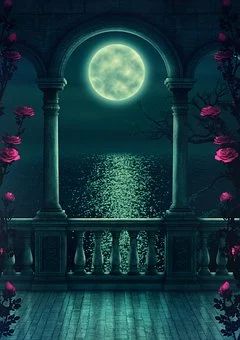 an image of a full moon setting over the ocean with pink flowers in front of it