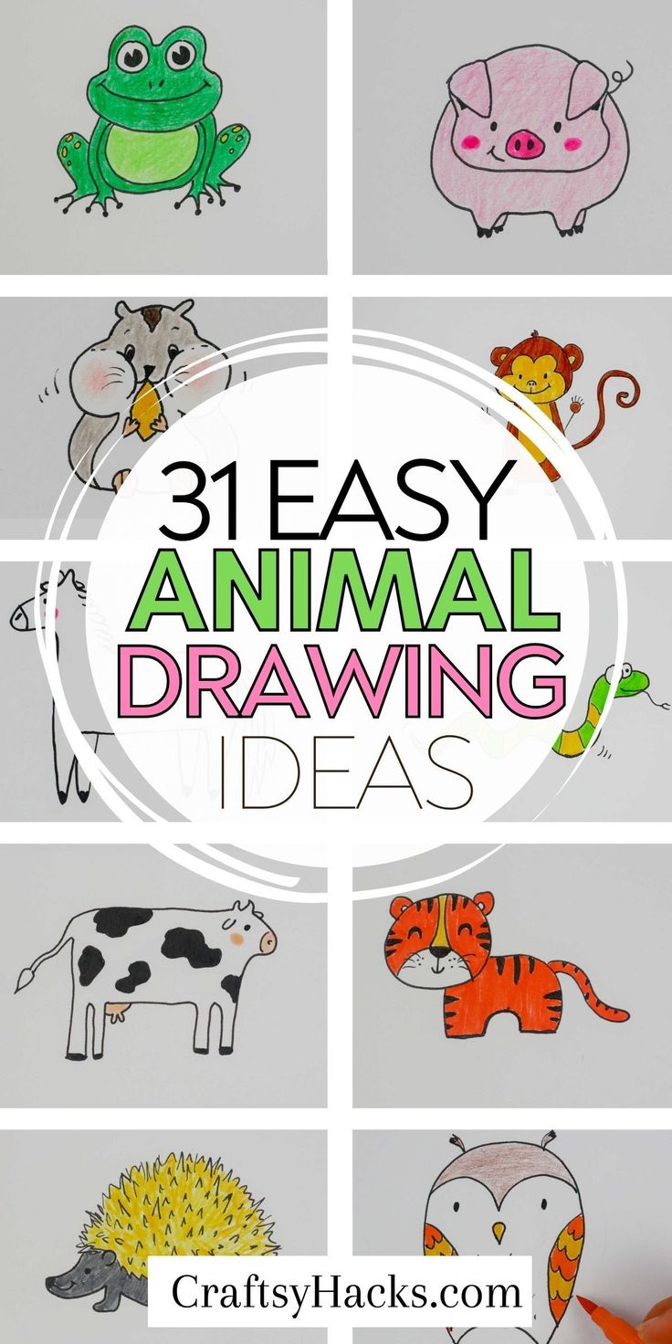 an image of animal drawings with the title, 31 easy and fun animal drawing ideas